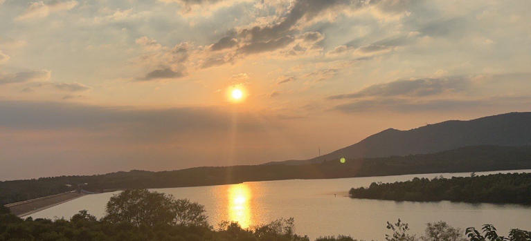 留坝县桑园坝瑞丰源猪苓企业公司轮播图3