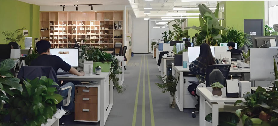 留坝县桑园坝瑞丰源猪苓企业公司轮播图2