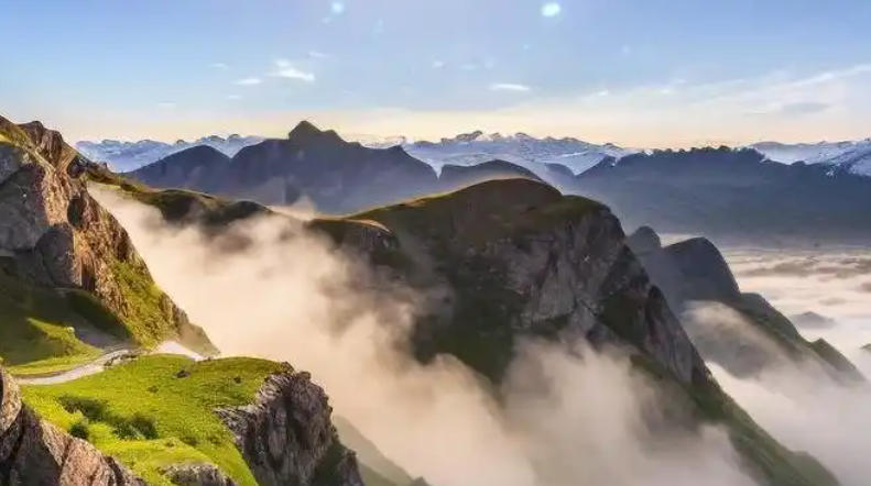 留坝县桑园坝瑞丰源猪苓企业公司轮播图3