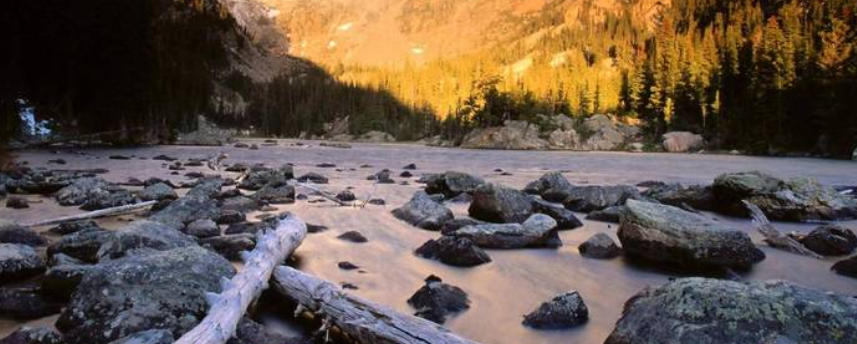 留坝县桑园坝瑞丰源猪苓企业公司轮播图3