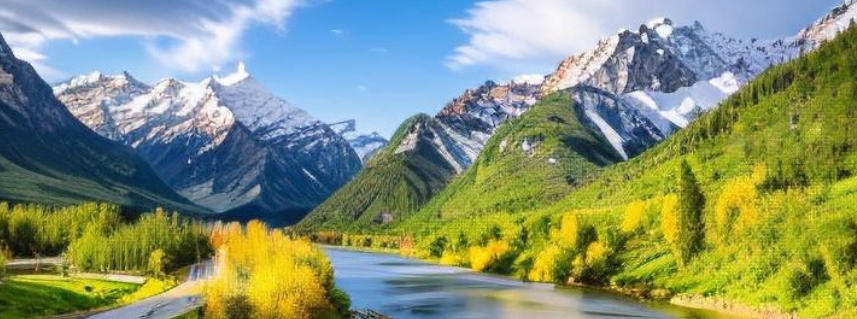 留坝县桑园坝瑞丰源猪苓企业公司轮播图1